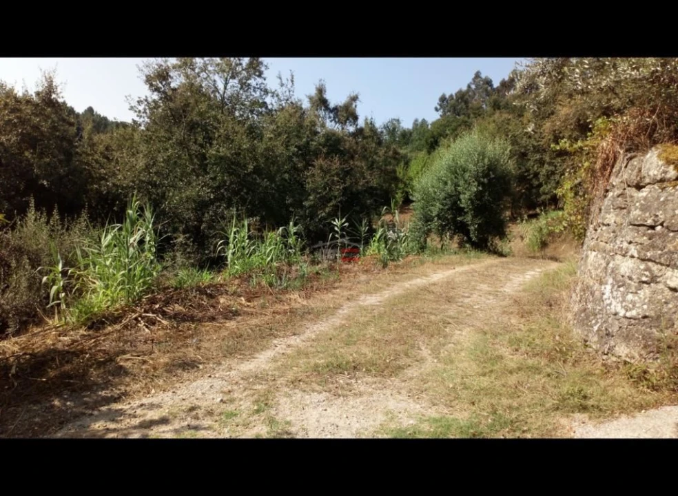 Terreno Misto para Venda em Alburitel Foto 7