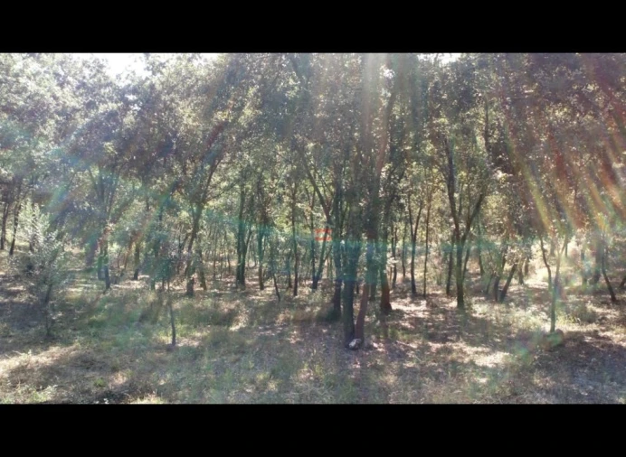 Terreno Misto para Venda em Alburitel Foto 1