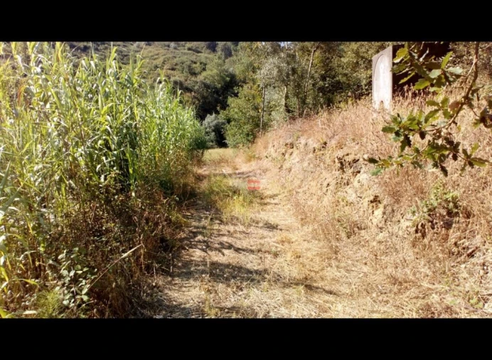 Terreno Misto para Venda em Alburitel Foto 4