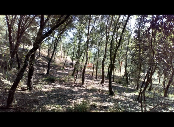 Terreno Misto para Venda em Alburitel Foto 5