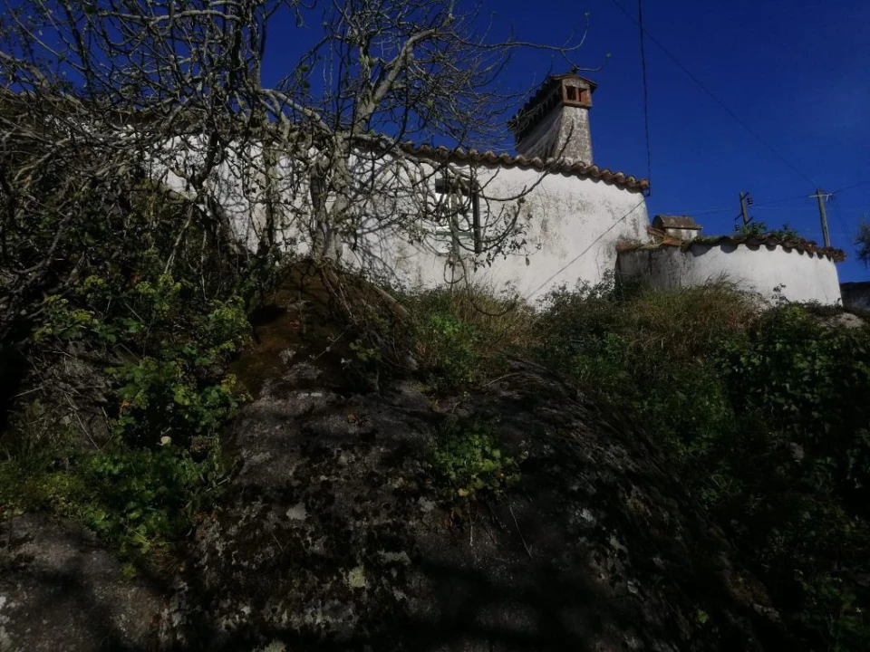Moradia T0 para Venda em Ribeira de Nisa e Carreiras Foto 4
