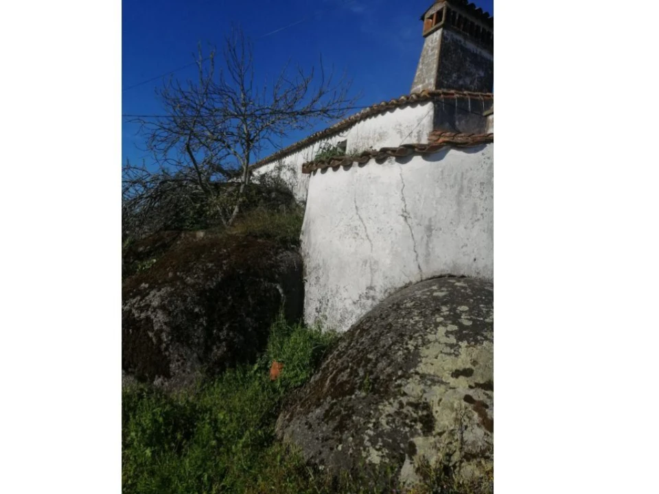 Moradia T0 para Venda em Ribeira de Nisa e Carreiras Foto 5