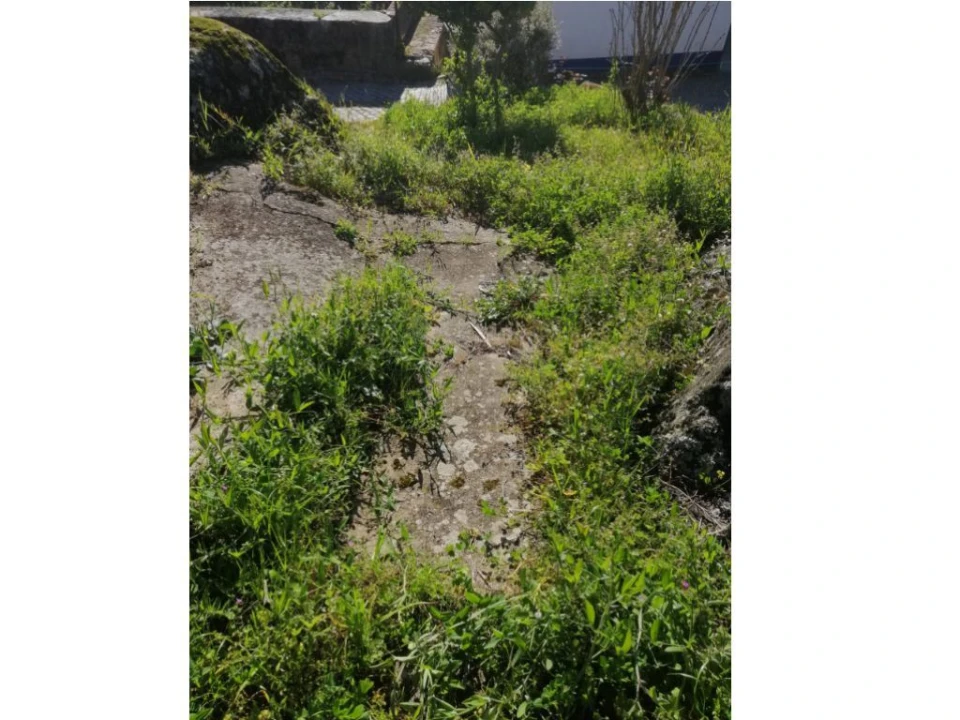 Moradia T0 para Venda em Ribeira de Nisa e Carreiras Foto 9