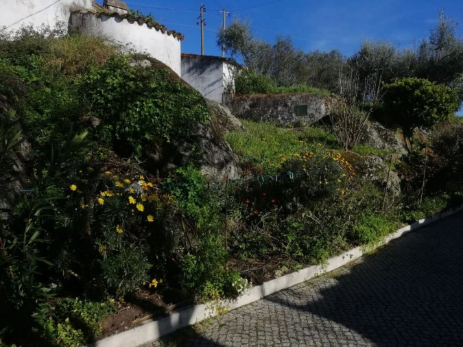 Moradia T0 para Venda em Ribeira de Nisa e Carreiras Foto 3