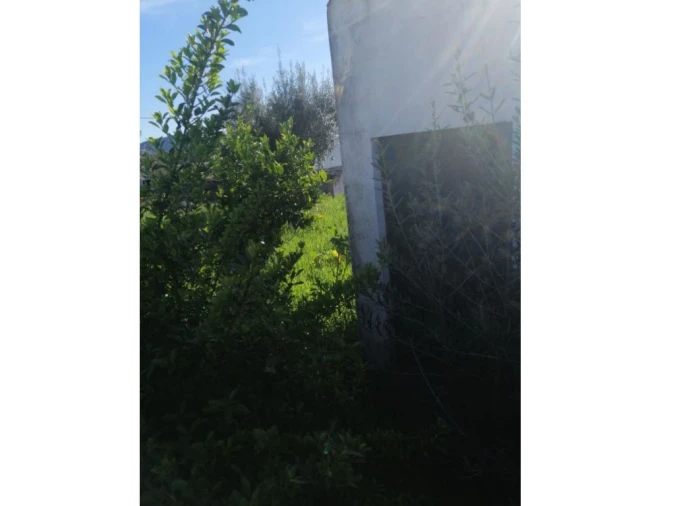 Moradia T0 para Venda em Ribeira de Nisa e Carreiras Foto 8