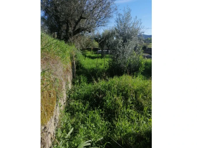 Moradia T0 para Venda em Ribeira de Nisa e Carreiras Foto 10