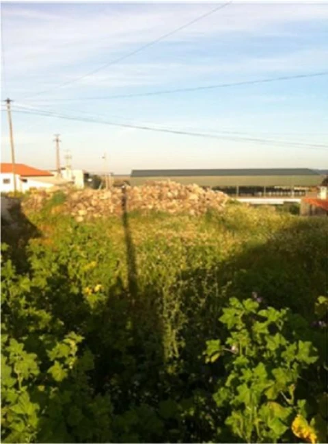 Terreno para Venda em Santo Antonio das Areias