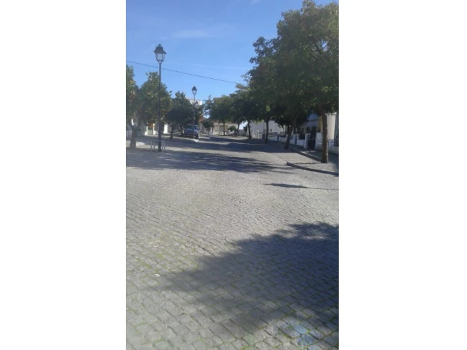 Moradia T0 para Venda em Avis Foto 3