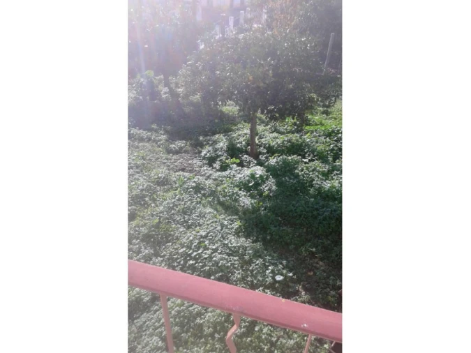 Moradia T0 para Venda em Avis Foto 5