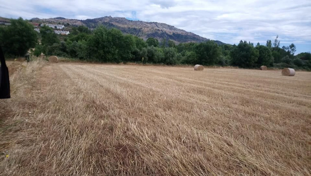 Terreno Agricola ou Rústico para Venda em São Salvador da Aramenha Foto 1