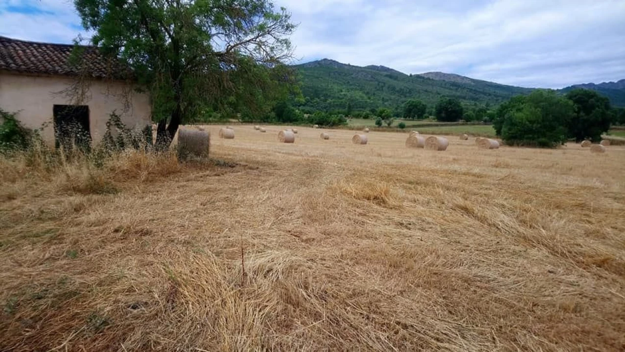 Terreno Agricola ou Rústico para Venda em São Salvador da Aramenha Foto 2