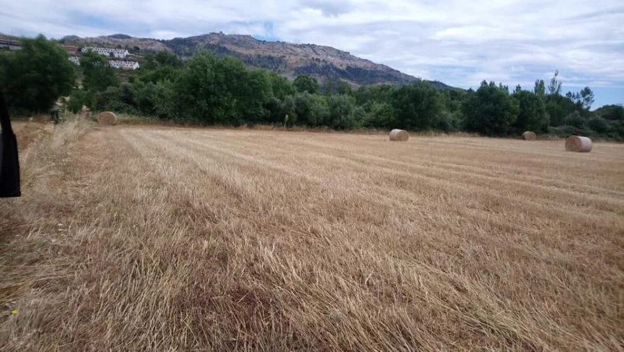 Terreno Agricola ou Rústico para Venda em São Salvador da Aramenha Foto 1