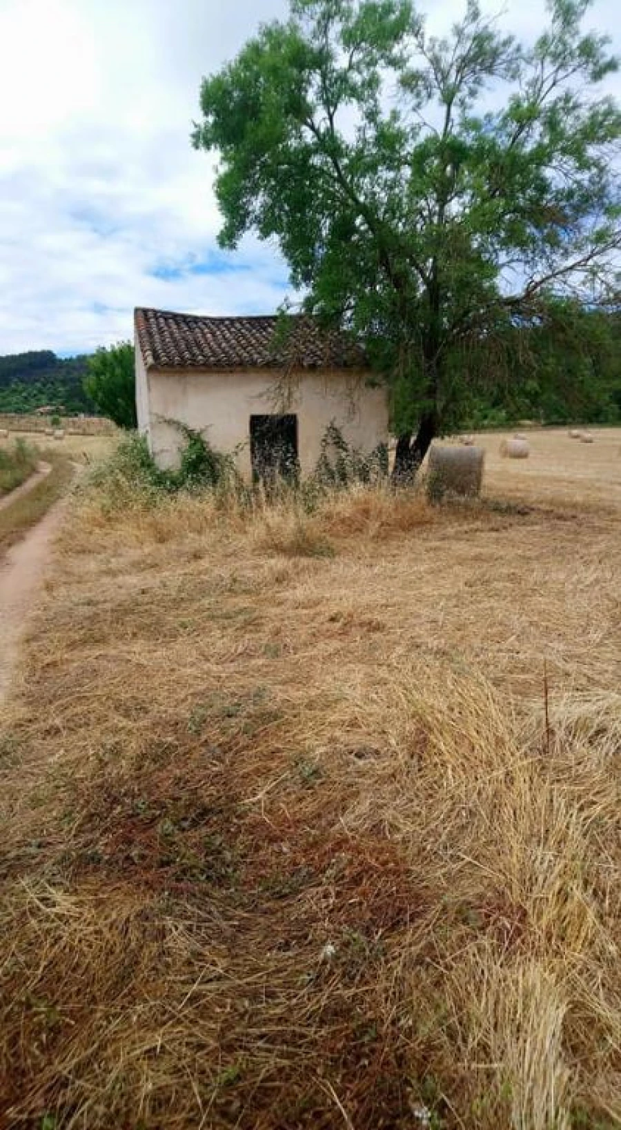 Terreno Agricola ou Rústico para Venda em São Salvador da Aramenha Foto 5