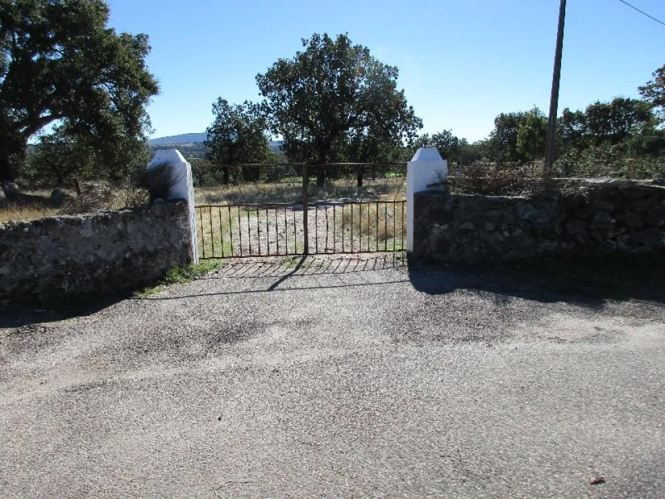 Terreno Agricola ou Rústico para Venda em São Salvador da Aramenha Foto 1