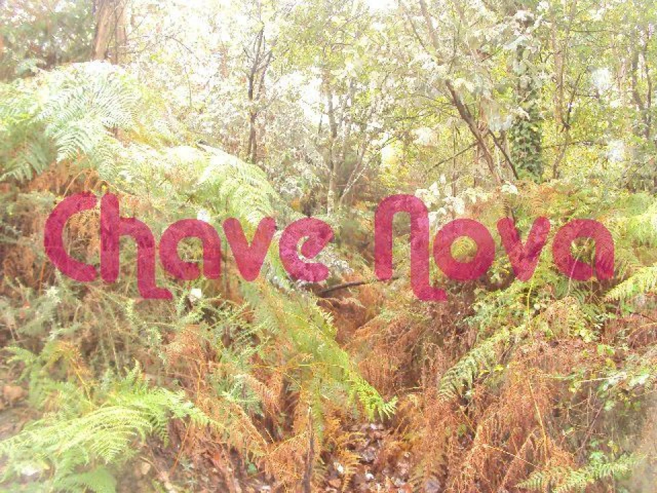 Terreno para Venda em Avintes Foto 6