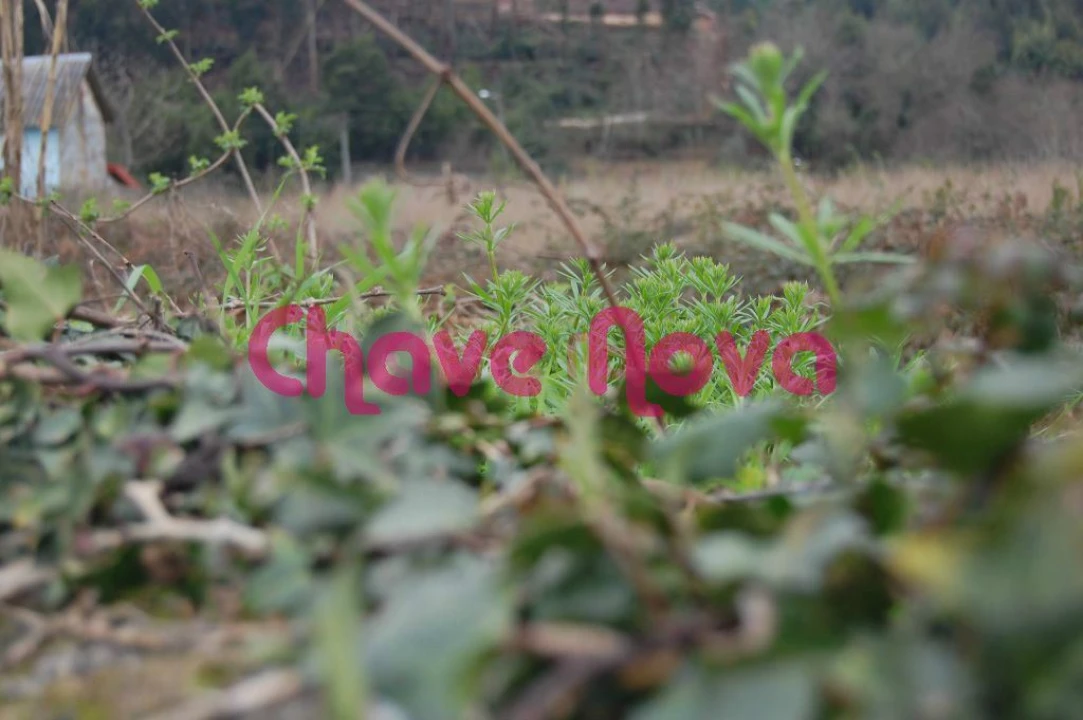 Terreno para Venda em Avintes Foto 8