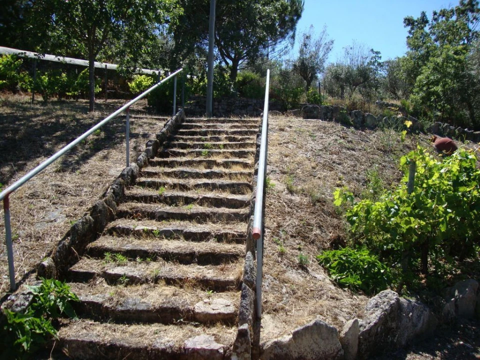 Terreno Agricola ou Rústico para Venda em Santa Maria da Devesa Foto 10