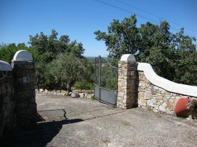 Terreno Agricola ou Rústico para Venda em Santa Maria da Devesa Foto 12