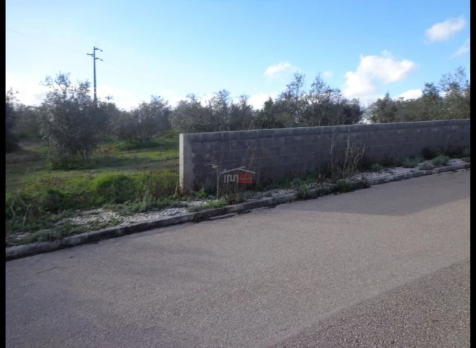 Terreno Misto para Venda em Vila Nova da Barquinha Foto 1