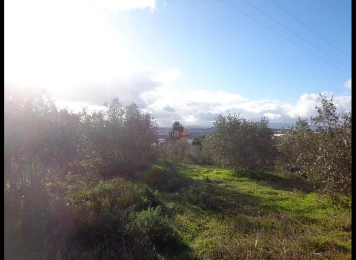 Terreno Misto para Venda em Vila Nova da Barquinha Foto 5