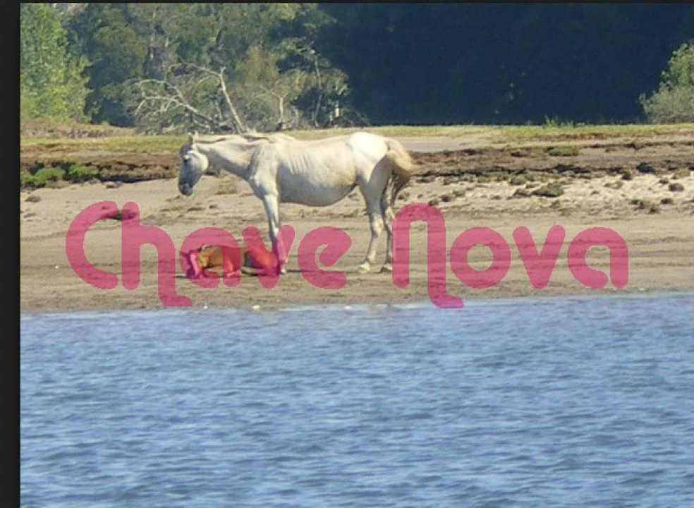 Terreno Misto para Venda em Gondarem Foto 3