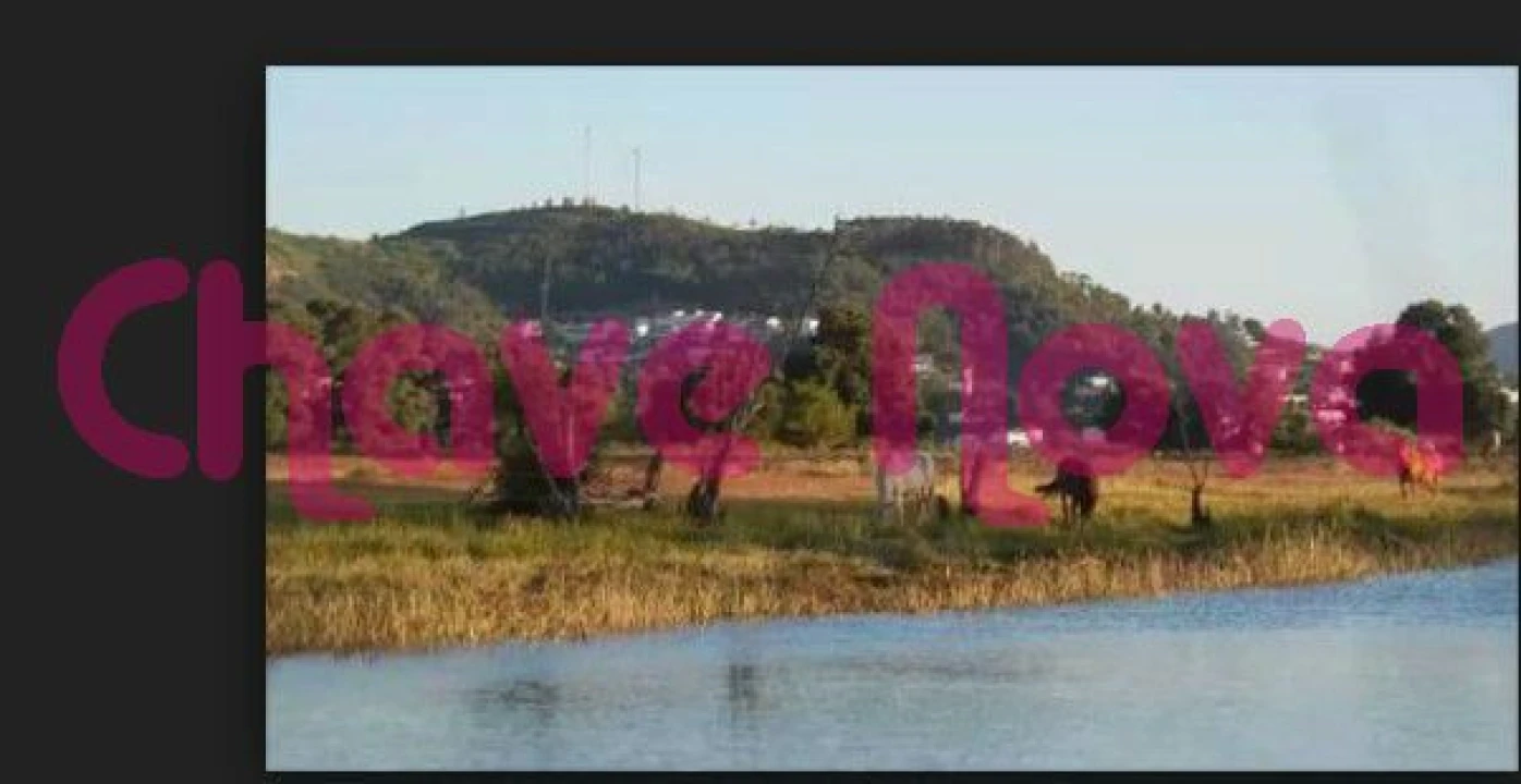 Terreno Misto para Venda em Gondarem Foto 4