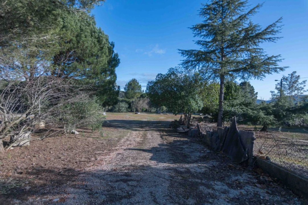 Terreno Misto para Venda em Mira de Aire Foto 5