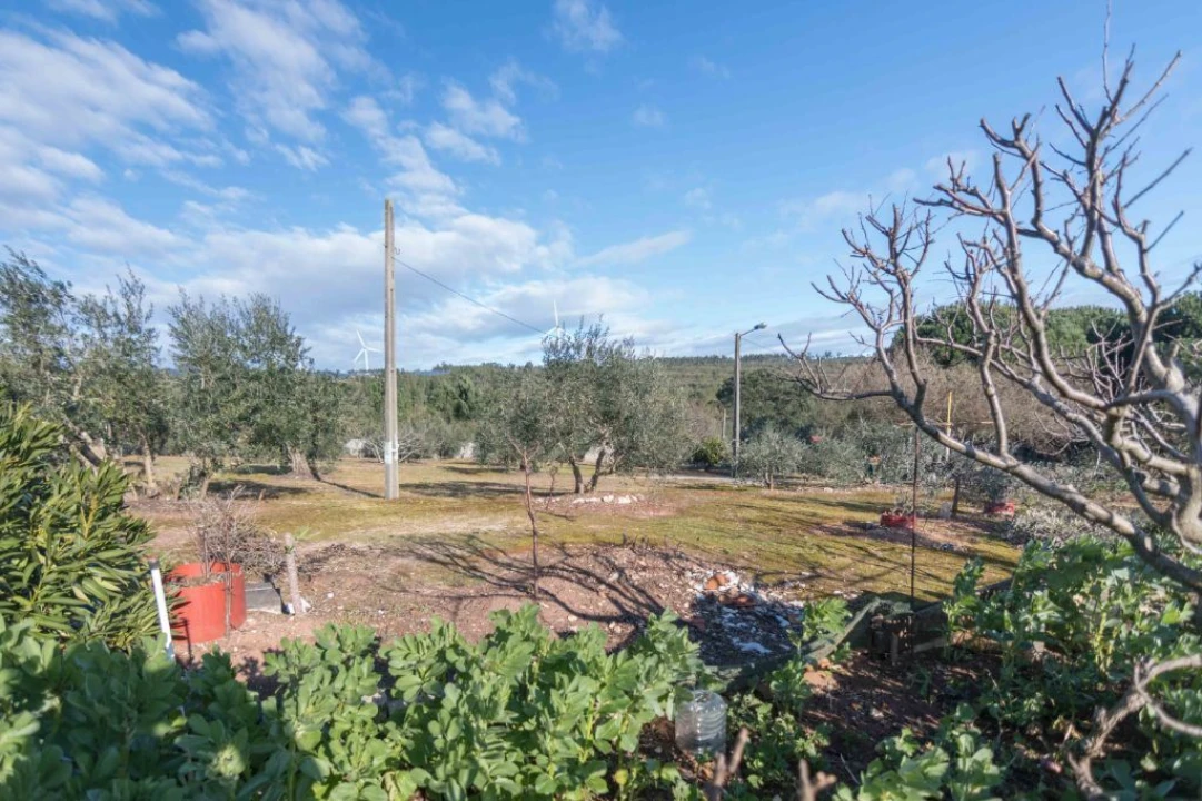 Terreno Misto para Venda em Mira de Aire Foto 8