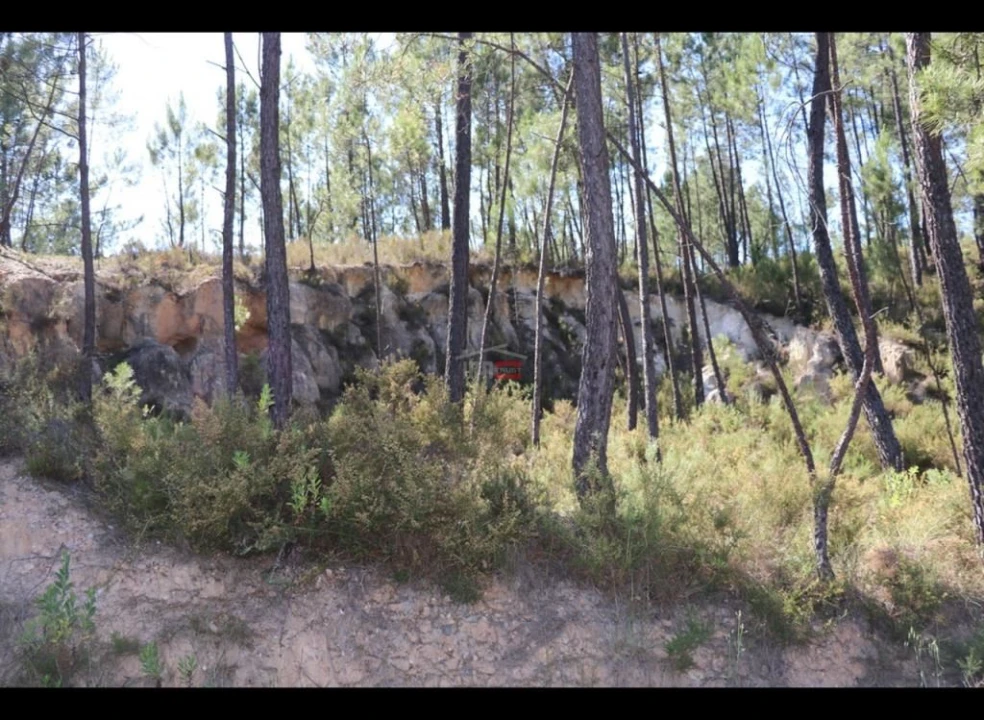 Terreno Misto para Venda em Alburitel Foto 9