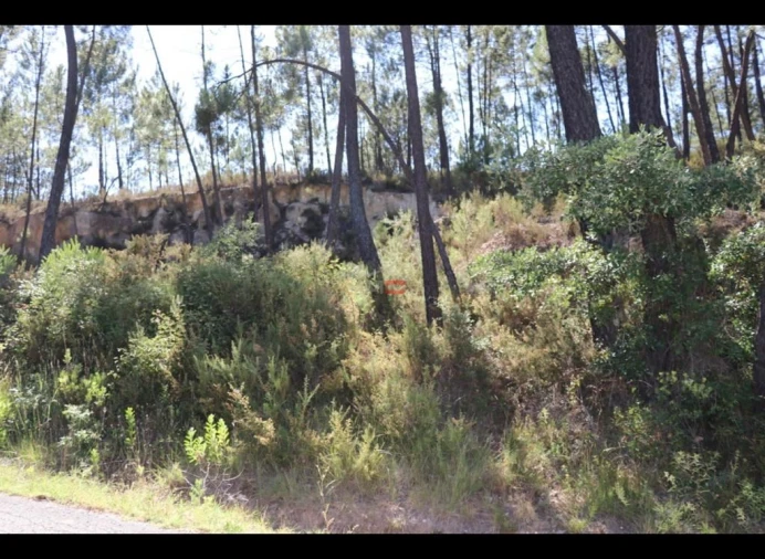 Terreno Misto para Venda em Alburitel Foto 2