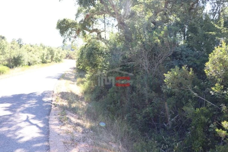 Terreno Misto para Venda em Sabacheira Foto 5