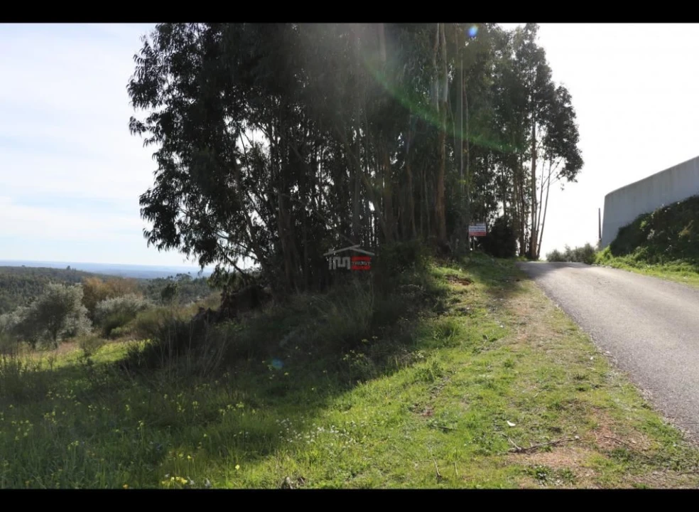 Terreno Misto para Venda em Alburitel Foto 4