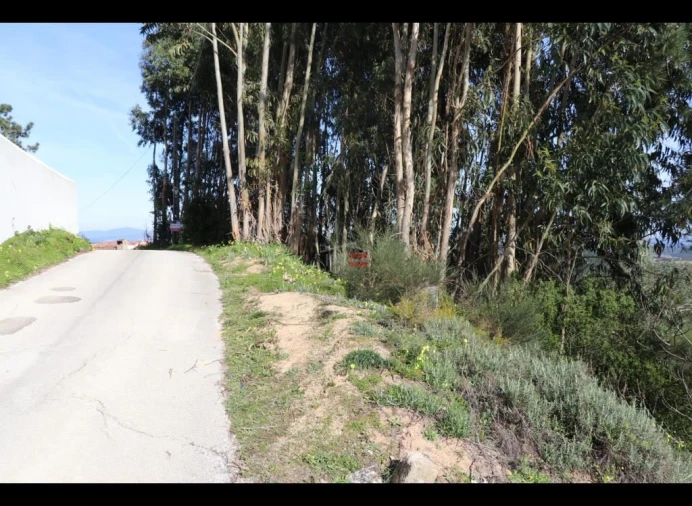 Terreno Misto para Venda em Alburitel Foto 1