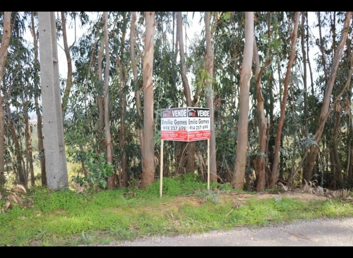 Terreno Misto para Venda em Alburitel Foto 5