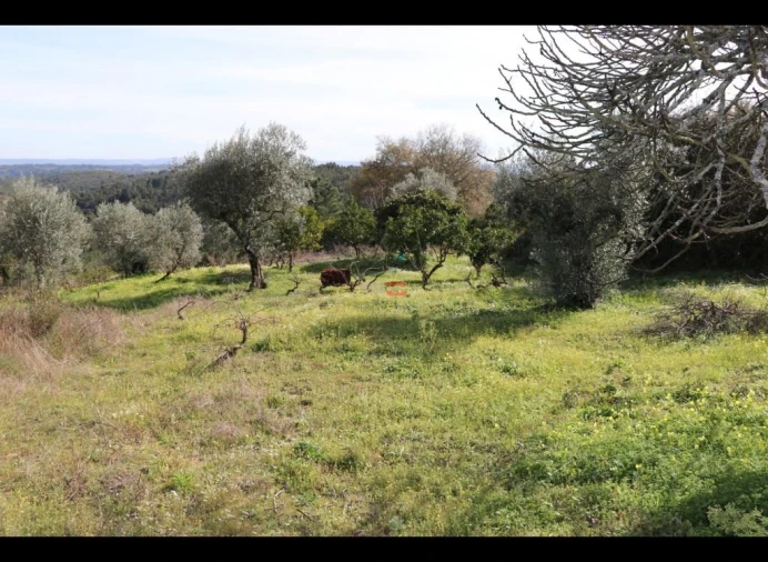 Terreno Misto para Venda em Alburitel Foto 9