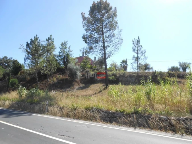 Terreno Misto para Venda em Santa Catarina da Serra e Chainça Foto 13