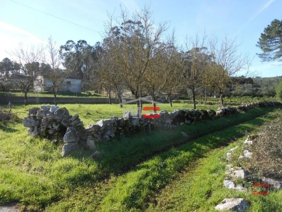 Terreno Misto para Venda em Fatima Foto 5