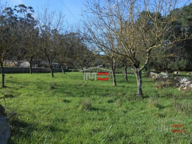 Terreno Misto para Venda em Fatima Foto 7