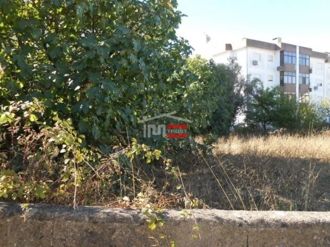 Terreno Misto para Venda em Fatima Foto 10