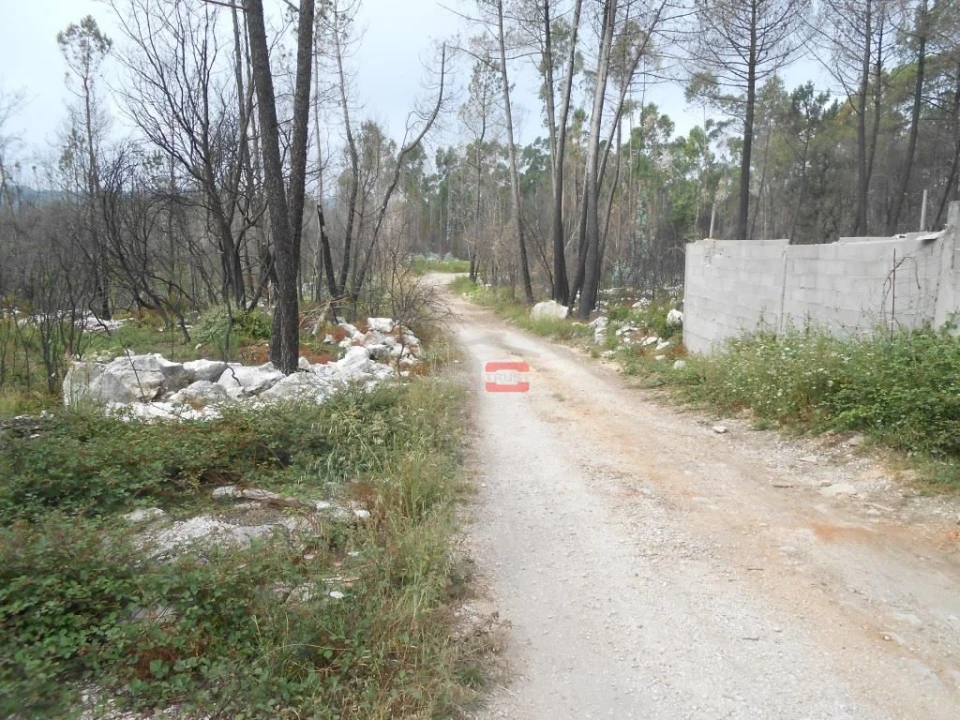 Terreno Misto para Venda em Fatima Foto 8