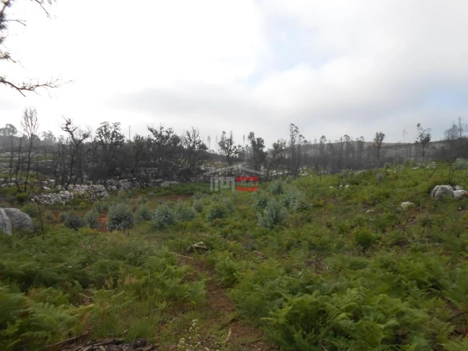 Terreno Misto para Venda em Fatima Foto 14