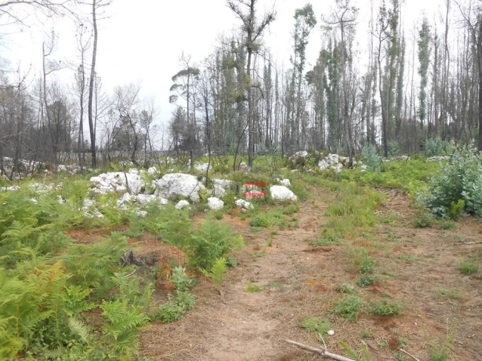 Terreno Misto para Venda em Fatima Foto 4