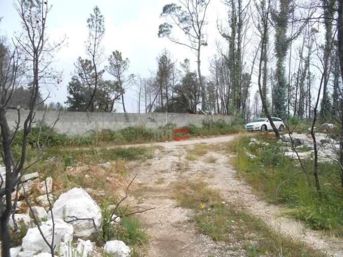 Terreno Misto para Venda em Fatima Foto 6