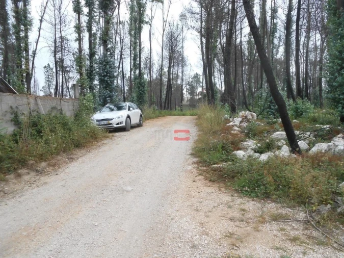 Terreno Misto para Venda em Fatima Foto 7
