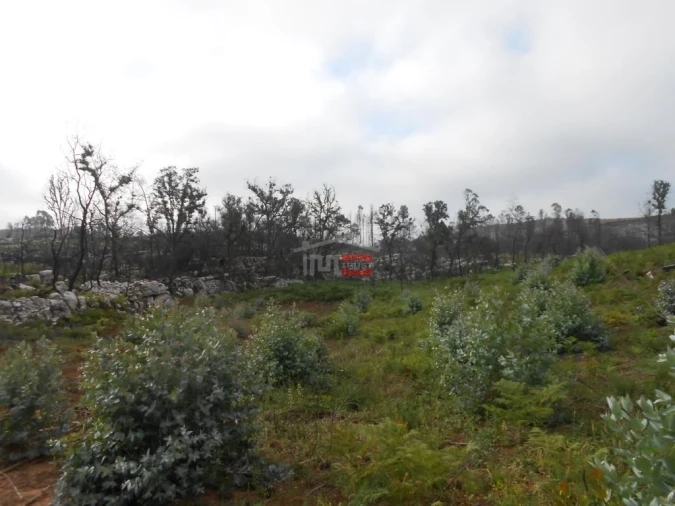 Terreno Misto para Venda em Fatima Foto 15