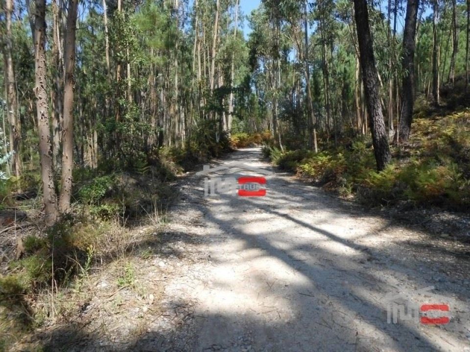 Terreno Misto para Venda em Nossa Senhora da Piedade Foto 2