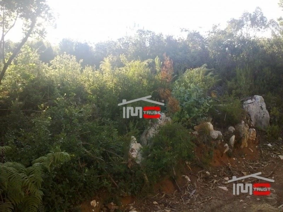 Terreno Misto para Venda em Fatima Foto 6