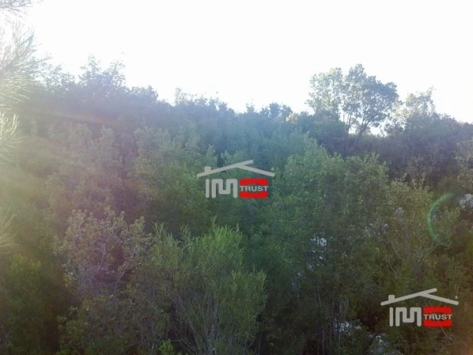 Terreno Misto para Venda em Fatima Foto 5