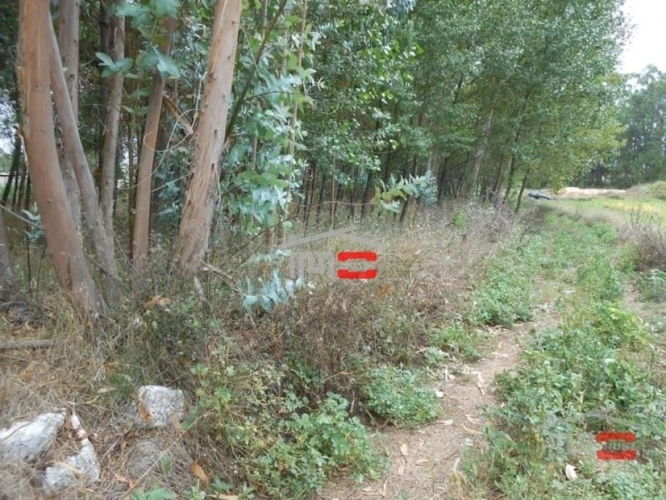 Terreno Misto para Venda em Santa Catarina da Serra e Chainça Foto 1