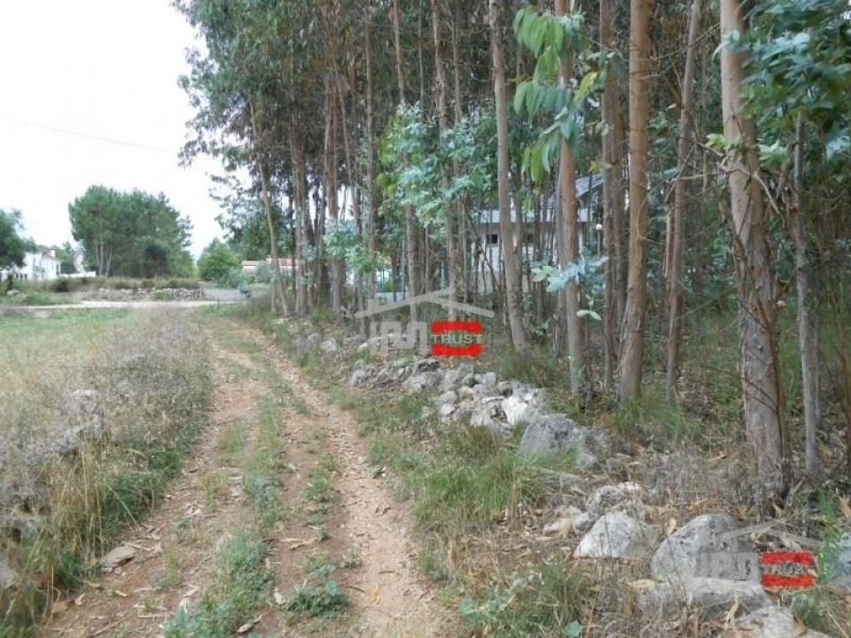 Terreno Misto para Venda em Santa Catarina da Serra e Chainça Foto 4